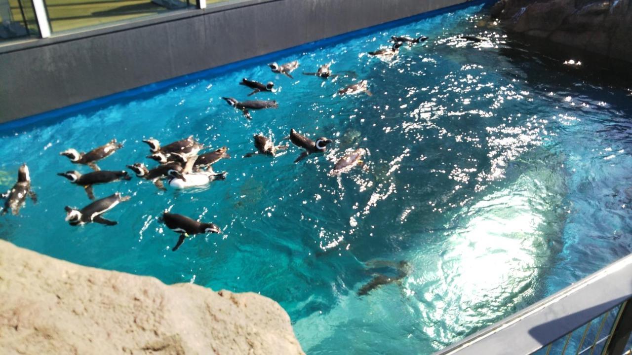 Oyo Joetsu City Hotel Kasugayama 외부 사진